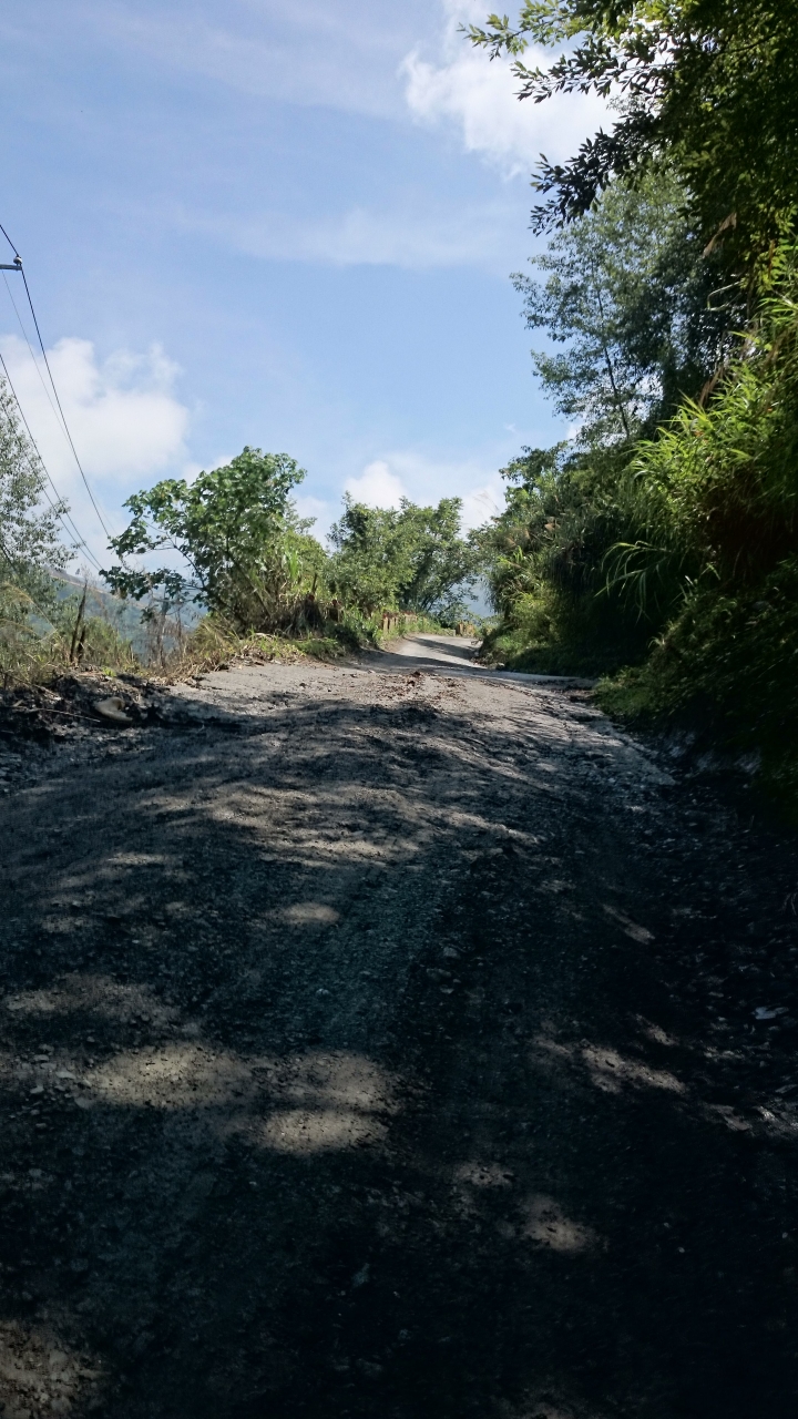泥濃我濃--力行產(慘)業道路