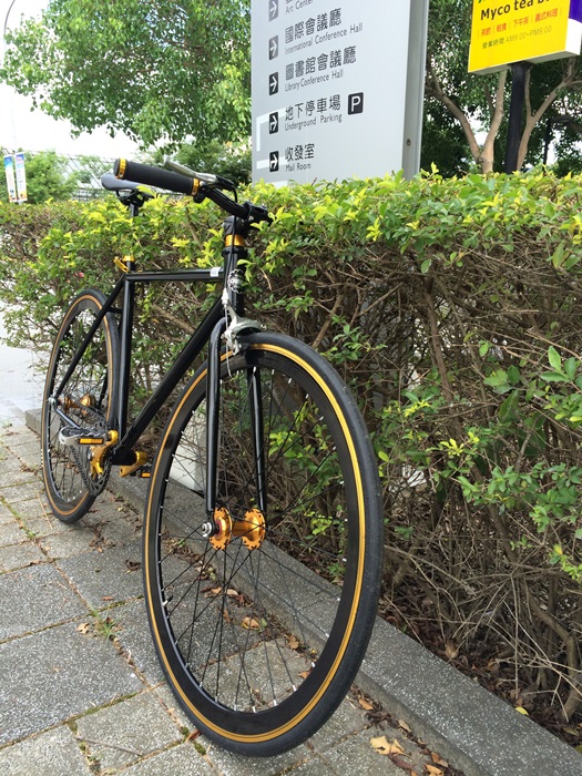天生就是愛假掰之我與我的單速車