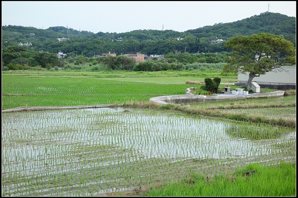 2014.08.02【單車遊記】《貓狸》小旅行