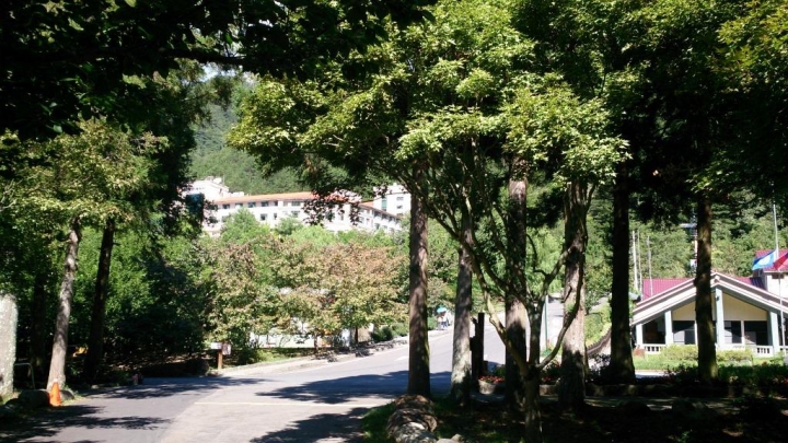 武陵農場消暑遊