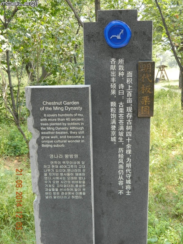 黃花城水長城 (西水峪)