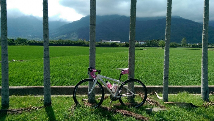 OSEOUS T-FCC 38 雙開箱< 搭配TREK Madon 5.2 及GENIUS車架>