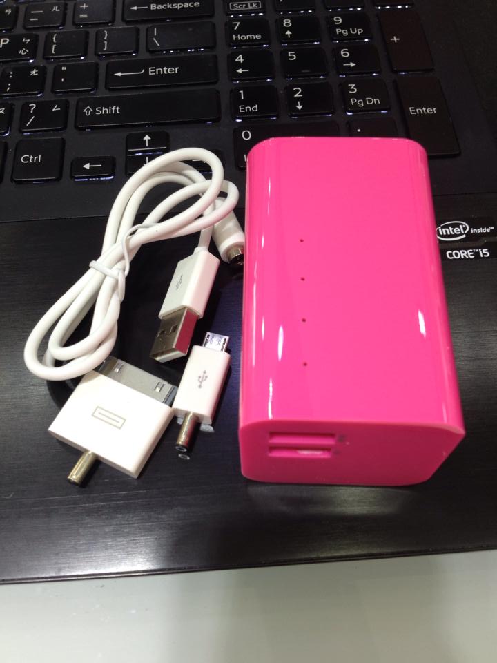狗狗的破壞力之破財先消災