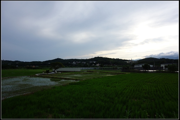 2014.08.02【單車遊記】《貓狸》小旅行