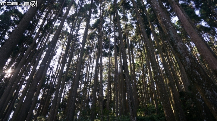 2014.9.3.比大鳥縱走(比林山.大窩山.鳥嘴山)白蘭部落.全都錄