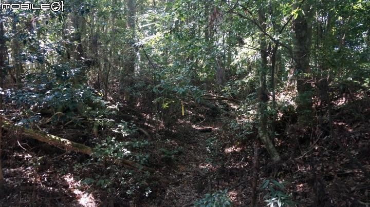 2014.9.3.比大鳥縱走(比林山.大窩山.鳥嘴山)白蘭部落.全都錄