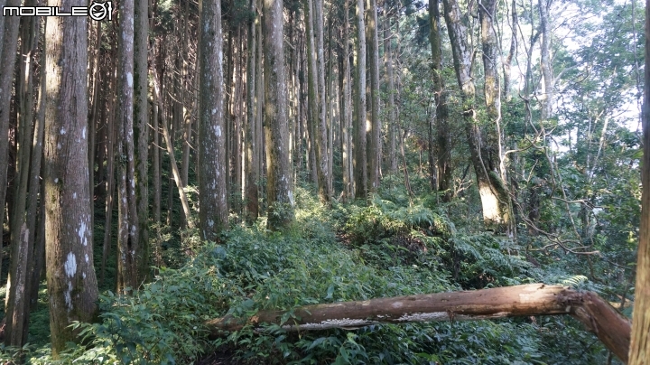 2014.9.3.比大鳥縱走(比林山.大窩山.鳥嘴山)白蘭部落.全都錄
