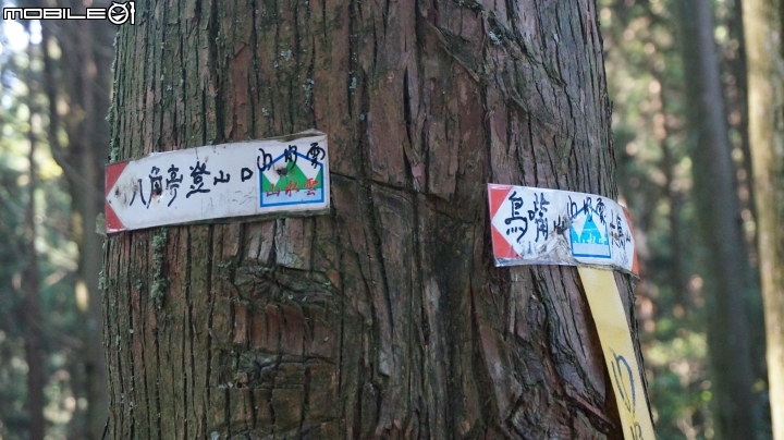 2014.9.3.比大鳥縱走(比林山.大窩山.鳥嘴山)白蘭部落.全都錄