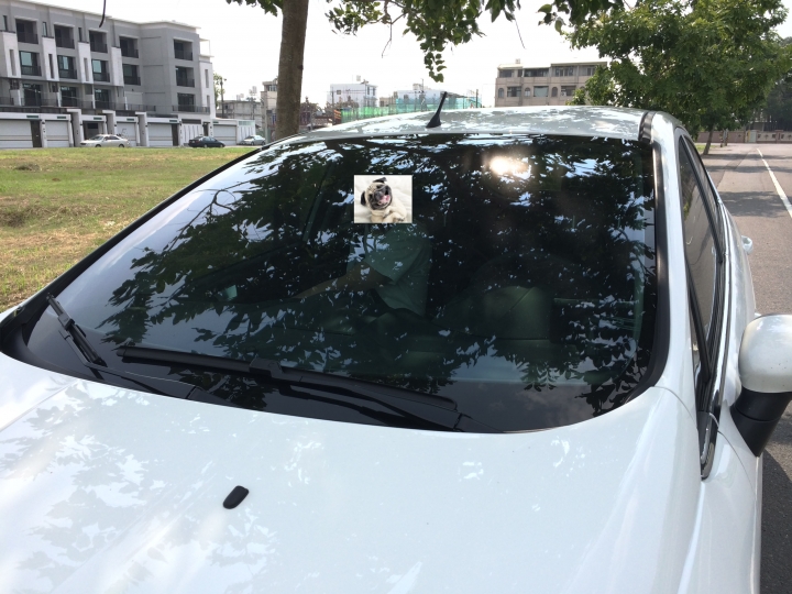 fiesta 1.0t 小白肥 草莓開箱文(長期更新不關箱分享文)