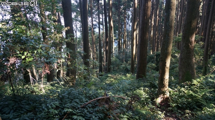 2014.9.3.比大鳥縱走(比林山.大窩山.鳥嘴山)白蘭部落.全都錄