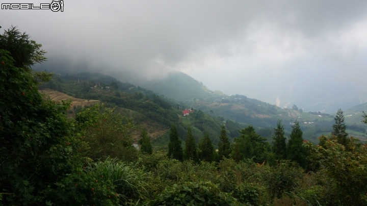 2014.9.3.比大鳥縱走(比林山.大窩山.鳥嘴山)白蘭部落.全都錄