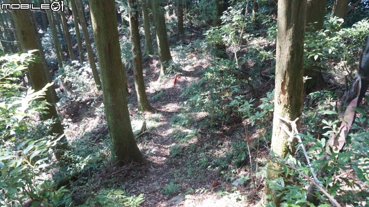 2014.9.3.比大鳥縱走(比林山.大窩山.鳥嘴山)白蘭部落.全都錄