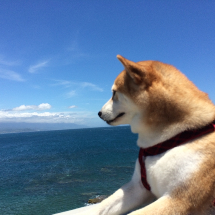 帶著柴兒去環島~~DAY1