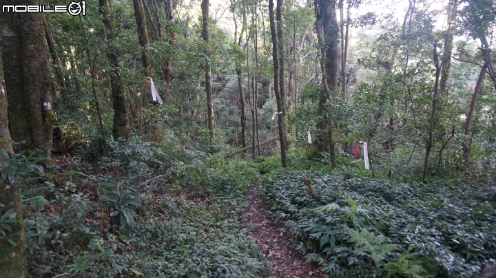 2014.9.3.比大鳥縱走(比林山.大窩山.鳥嘴山)白蘭部落.全都錄
