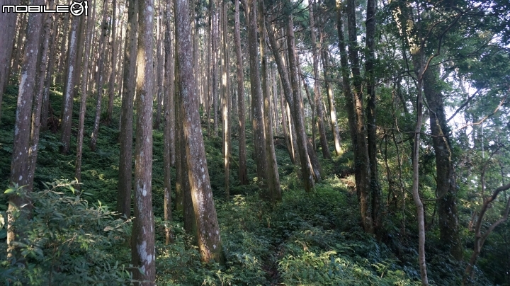 2014.9.3.比大鳥縱走(比林山.大窩山.鳥嘴山)白蘭部落.全都錄