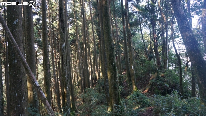 2014.9.3.比大鳥縱走(比林山.大窩山.鳥嘴山)白蘭部落.全都錄