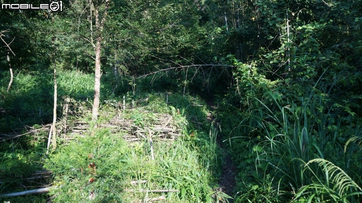2014.9.3.比大鳥縱走(比林山.大窩山.鳥嘴山)白蘭部落.全都錄