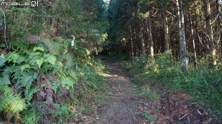 2014.9.3.比大鳥縱走(比林山.大窩山.鳥嘴山)白蘭部落.全都錄