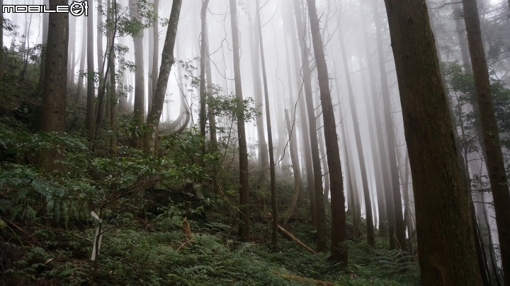 2014.9.3.比大鳥縱走(比林山.大窩山.鳥嘴山)白蘭部落.全都錄