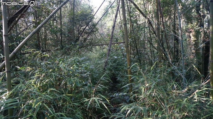 2014.9.3.比大鳥縱走(比林山.大窩山.鳥嘴山)白蘭部落.全都錄