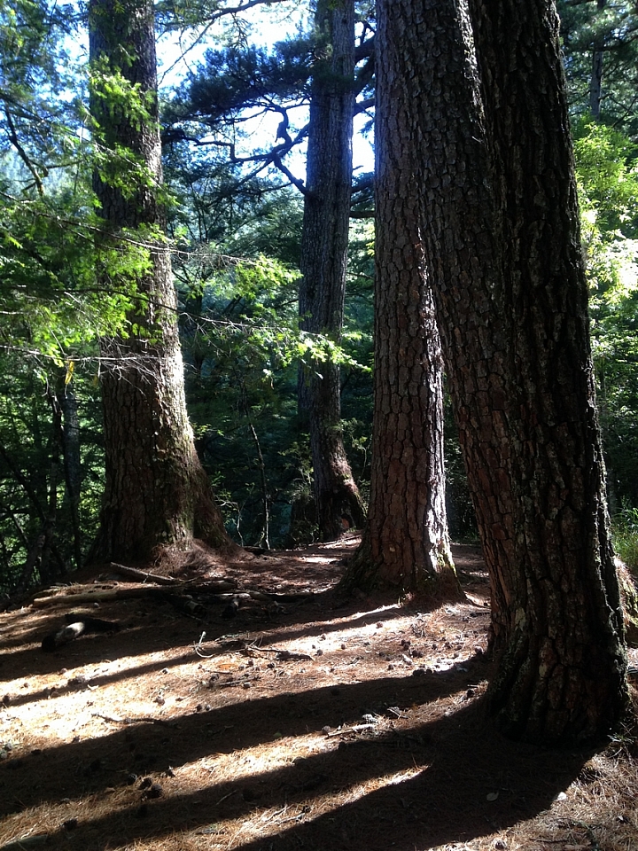 2014三日中央尖山.走.走.走