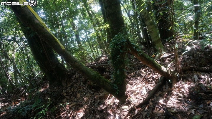 2014.9.3.比大鳥縱走(比林山.大窩山.鳥嘴山)白蘭部落.全都錄