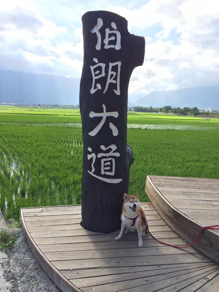 帶著柴兒去環島~~DAY1