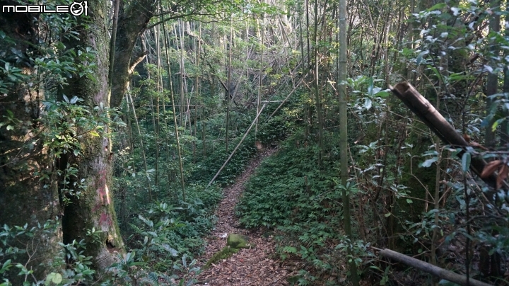 2014.9.3.比大鳥縱走(比林山.大窩山.鳥嘴山)白蘭部落.全都錄