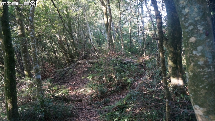 2014.9.3.比大鳥縱走(比林山.大窩山.鳥嘴山)白蘭部落.全都錄
