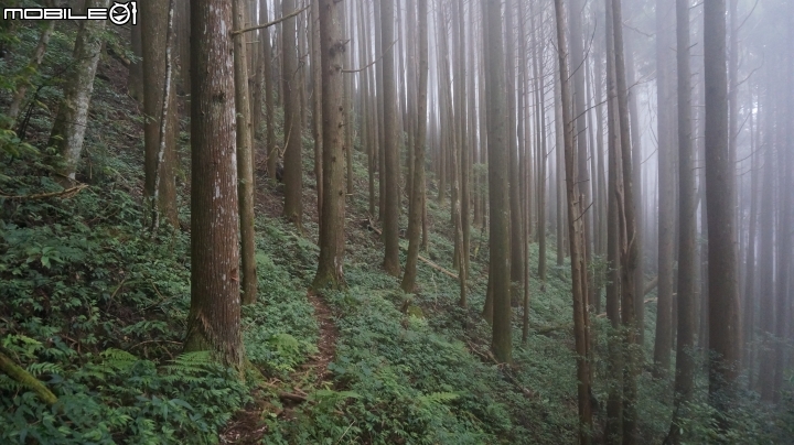 2014.9.3.比大鳥縱走(比林山.大窩山.鳥嘴山)白蘭部落.全都錄