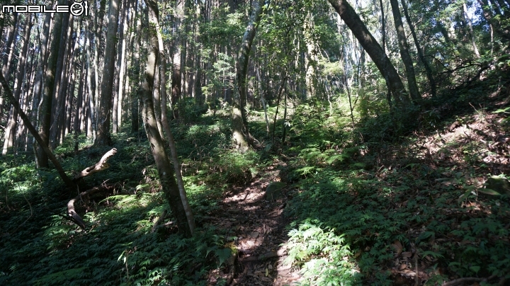 2014.9.3.比大鳥縱走(比林山.大窩山.鳥嘴山)白蘭部落.全都錄