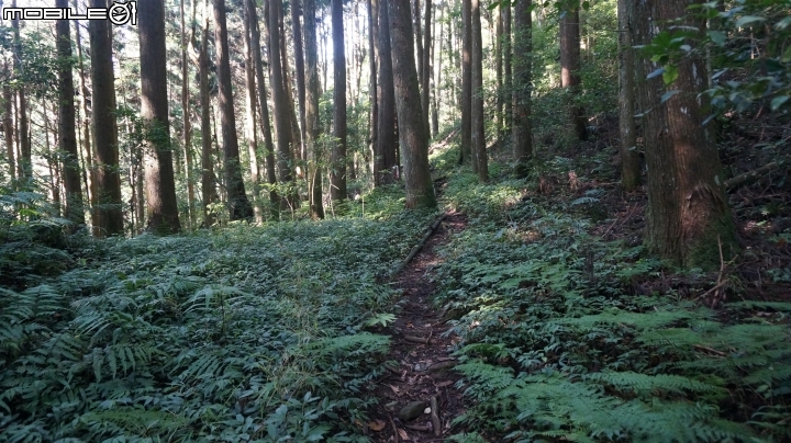 2014.9.3.比大鳥縱走(比林山.大窩山.鳥嘴山)白蘭部落.全都錄