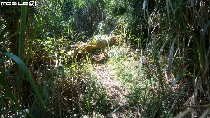 2014.9.3.比大鳥縱走(比林山.大窩山.鳥嘴山)白蘭部落.全都錄