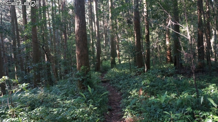 2014.9.3.比大鳥縱走(比林山.大窩山.鳥嘴山)白蘭部落.全都錄