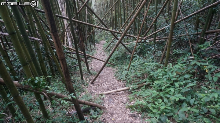 2014.9.3.比大鳥縱走(比林山.大窩山.鳥嘴山)白蘭部落.全都錄