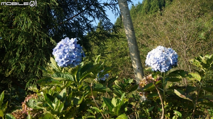 2014.9.3.比大鳥縱走(比林山.大窩山.鳥嘴山)白蘭部落.全都錄