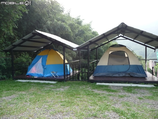 你...餵過野生的蜘蛛嗎?