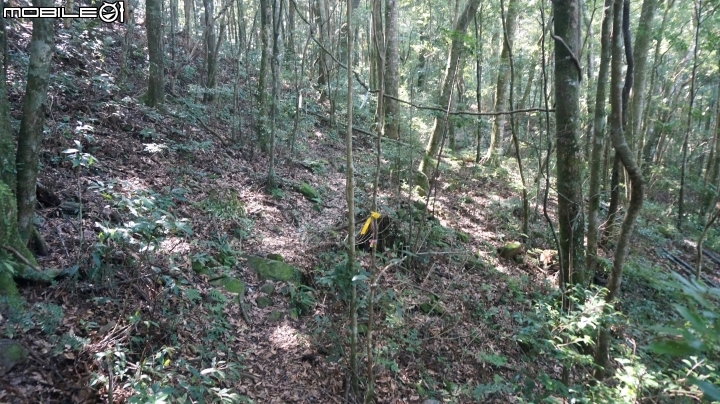 2014.9.3.比大鳥縱走(比林山.大窩山.鳥嘴山)白蘭部落.全都錄