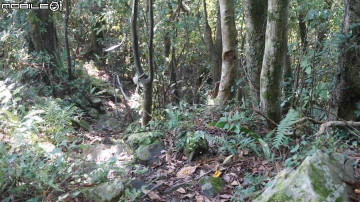 2014.9.3.比大鳥縱走(比林山.大窩山.鳥嘴山)白蘭部落.全都錄