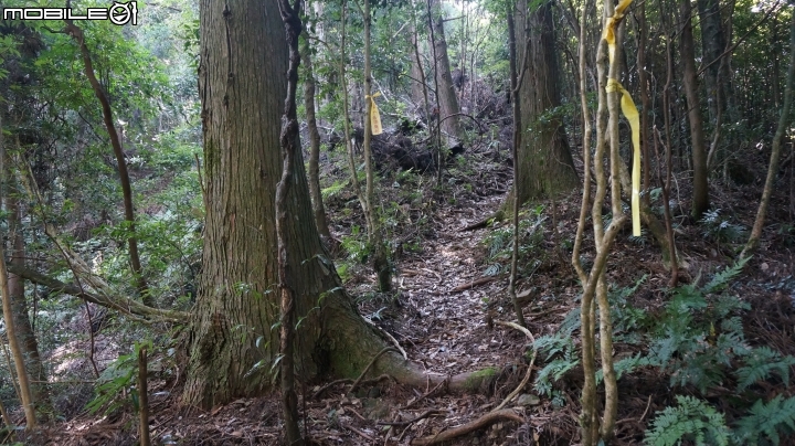 2014.9.3.比大鳥縱走(比林山.大窩山.鳥嘴山)白蘭部落.全都錄
