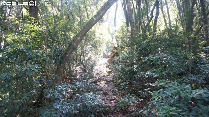 2014.9.3.比大鳥縱走(比林山.大窩山.鳥嘴山)白蘭部落.全都錄