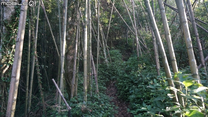 2014.9.3.比大鳥縱走(比林山.大窩山.鳥嘴山)白蘭部落.全都錄