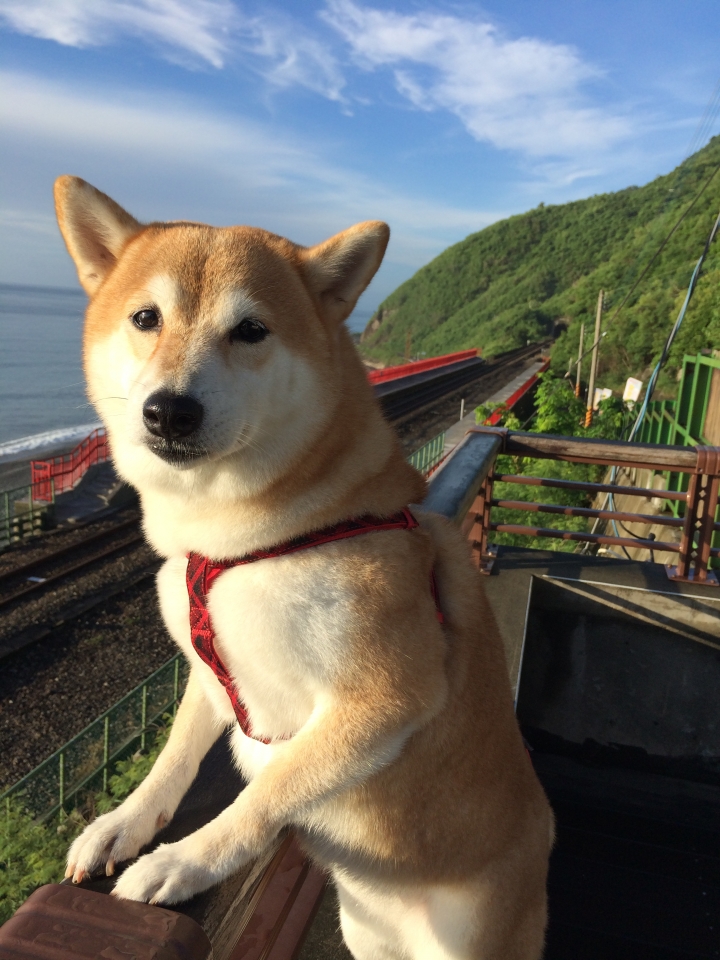 帶著柴兒去環島~~DAY1