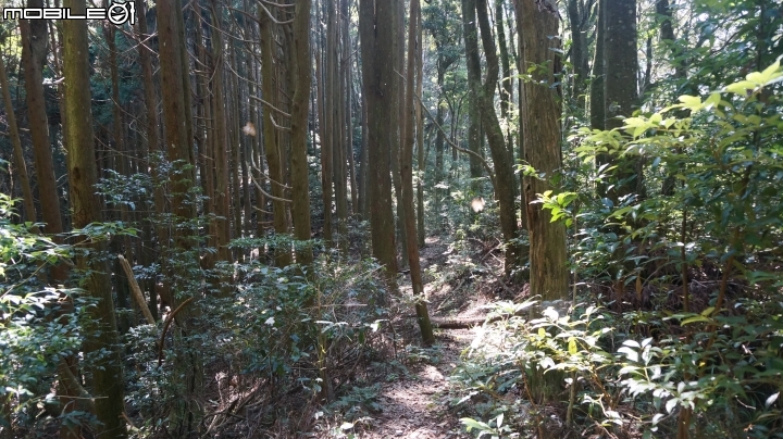 2014.9.3.比大鳥縱走(比林山.大窩山.鳥嘴山)白蘭部落.全都錄