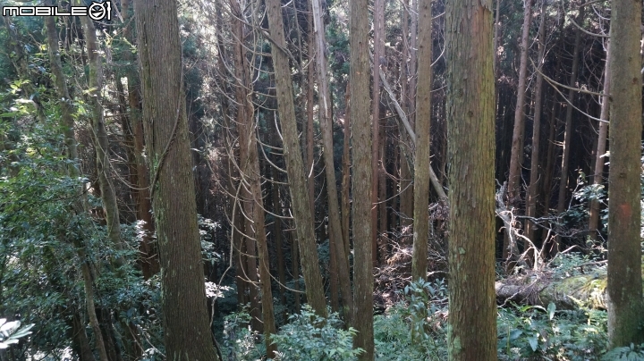 2014.9.3.比大鳥縱走(比林山.大窩山.鳥嘴山)白蘭部落.全都錄