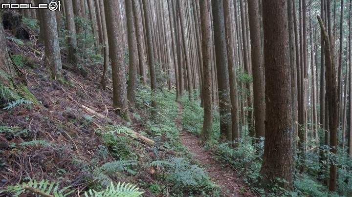 2014.9.3.比大鳥縱走(比林山.大窩山.鳥嘴山)白蘭部落.全都錄