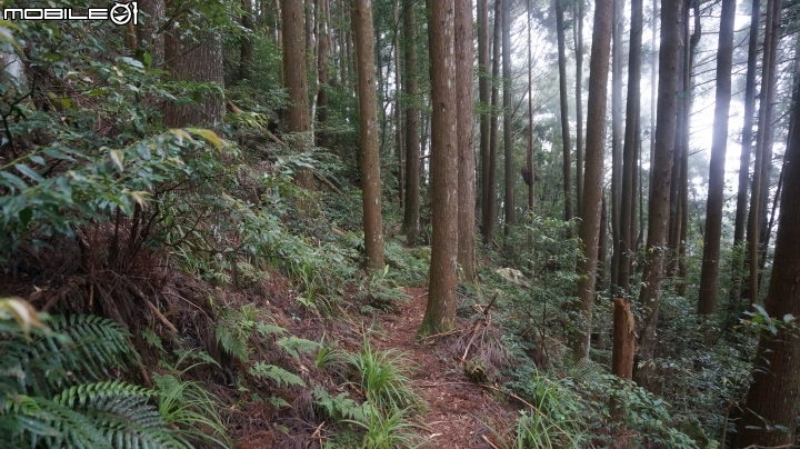 2014.9.3.比大鳥縱走(比林山.大窩山.鳥嘴山)白蘭部落.全都錄