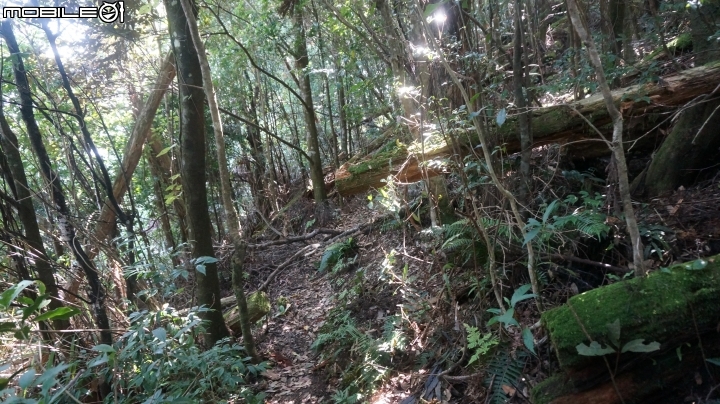2014.9.3.比大鳥縱走(比林山.大窩山.鳥嘴山)白蘭部落.全都錄