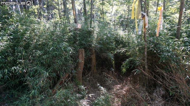 2014.9.3.比大鳥縱走(比林山.大窩山.鳥嘴山)白蘭部落.全都錄