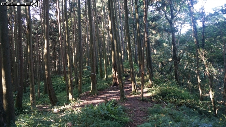 2014.9.3.比大鳥縱走(比林山.大窩山.鳥嘴山)白蘭部落.全都錄